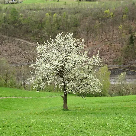 Apartamento Rot By Interhome Lend