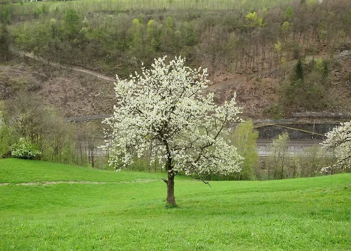 Appartement Rot By Interhome Lend