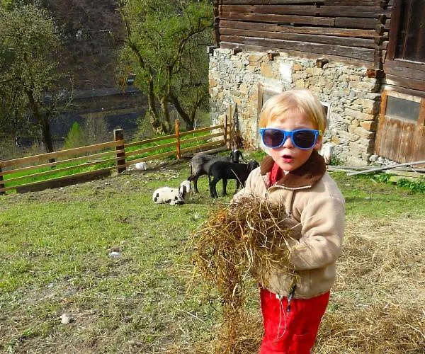 Appartement Rot By Interhome Lend