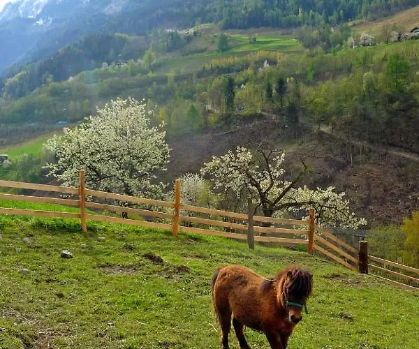 Rot By Interhome * Lend