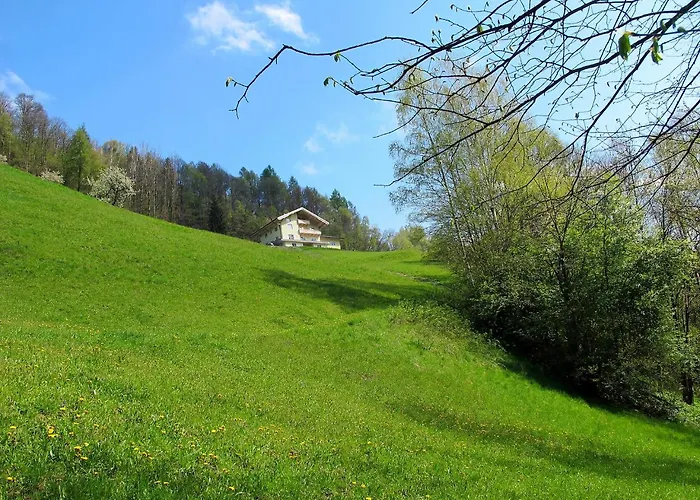 Appartamento Rot By Interhome